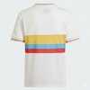 Camiseta centenario Selección Colombia