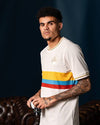 Camiseta centenario Selección Colombia